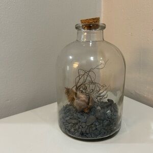 Glass Terrarium with Cork Lid